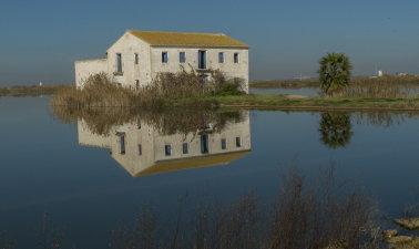 Basic Spanish 2: One Step Further basic-spanish-2-one-step-further