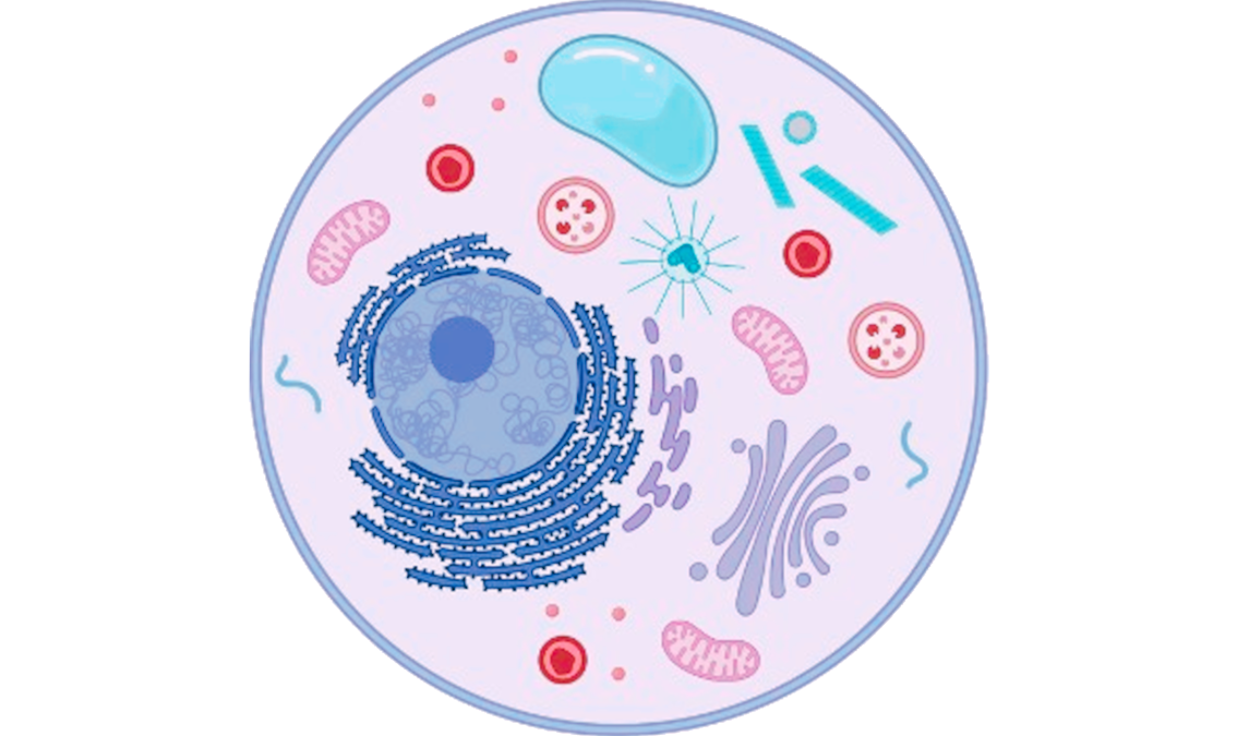 Fundamentos bioquímicos de la vida fundamentos-bioquimicos-vida