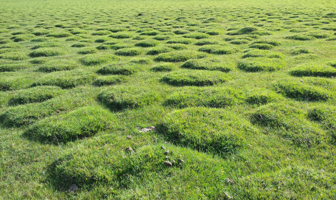 Sufficiency in Business trad-sufficiency